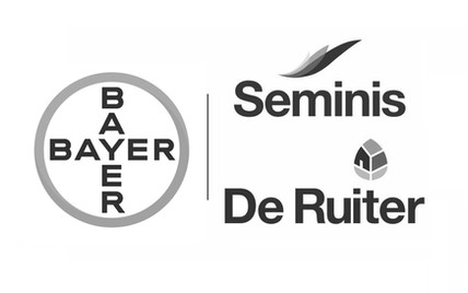 Bayer Vegetables — Seminis and De Ruiter
